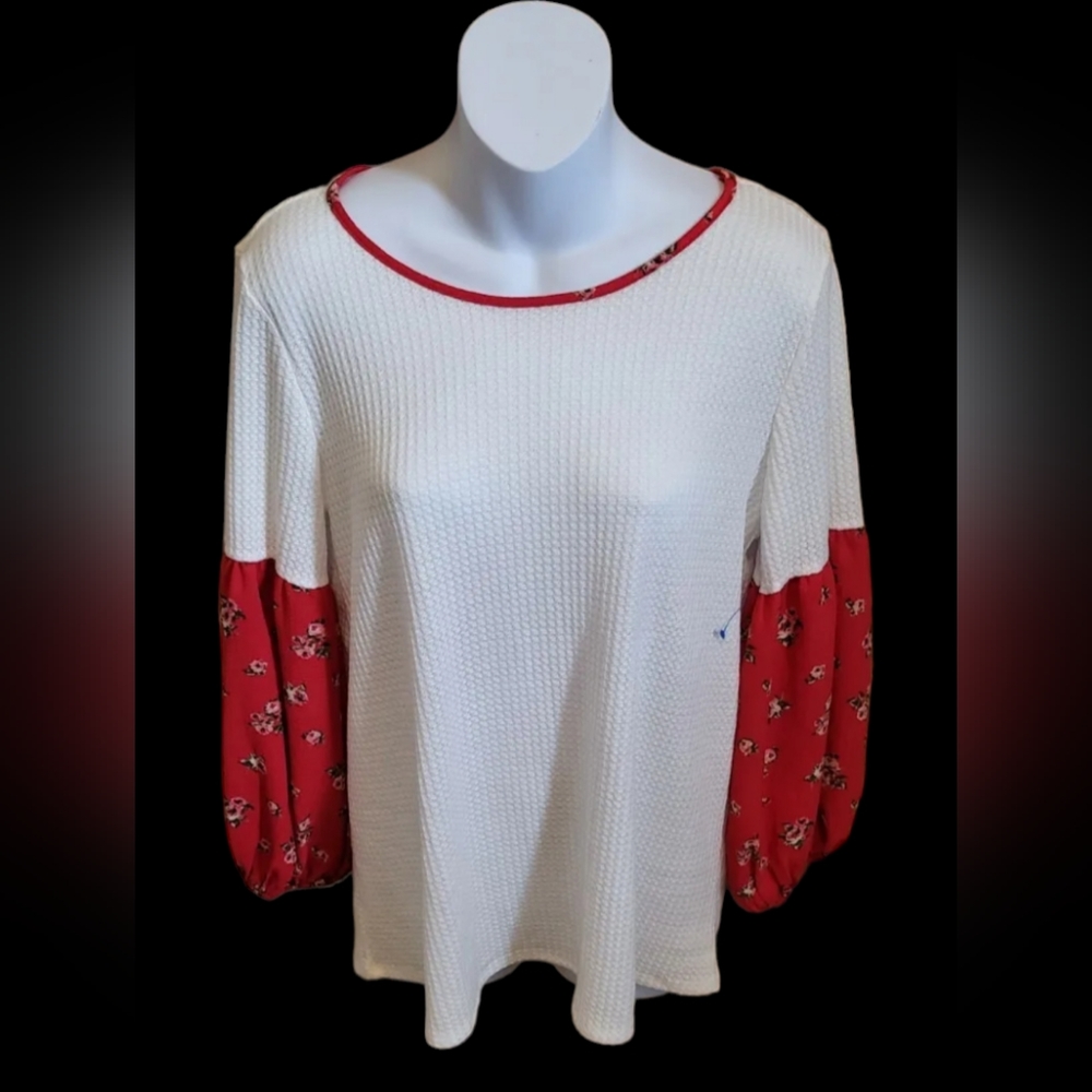 🌸White Birch Size Small Oversize Top
